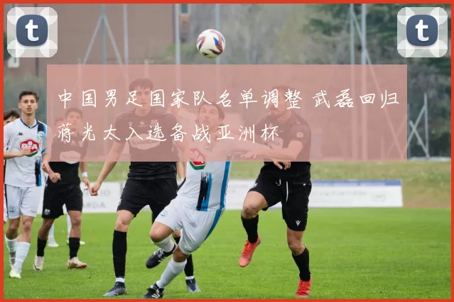 中国男足国家队名单调整 武磊回归蒋光太入选备战亚洲杯