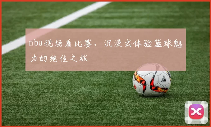nba现场看比赛，沉浸式体验篮球魅力的绝佳之旅
