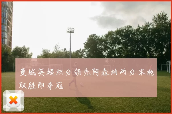 曼城英超积分领先阿森纳两分末轮取胜即夺冠